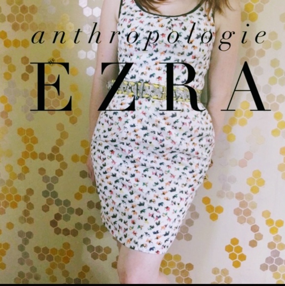 ezra Dresses & Skirts - Anthropologie Ezra Elephant Sleeveless Dress